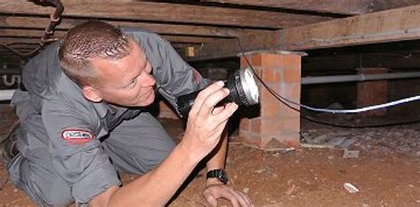 Buying a house, unit or investment property? Building & Pre-Purchase Pest Inspections Gold Coast & Brisbane