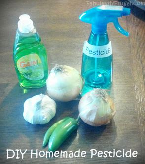 Check spelling or type a new query. DIY Homemade Pesticide | Natural pesticides, Pesticides for plants, Pest control