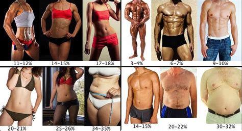 Download body visualizer for webware to visualize a 3d model of a male or female body. How To Decrease Body Fat Percentage To 10-12%, Lose That ...