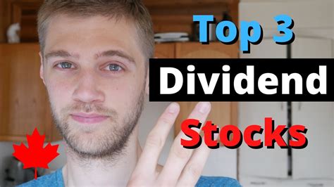The 2020 fiscal year dividend of 2.60 euros per share will be submitted to shareholders' vote on april 28, 2021. TOP 3 BEST DIVIDEND STOCKS IN CANADA | CANADIAN DIVIDEND ...
