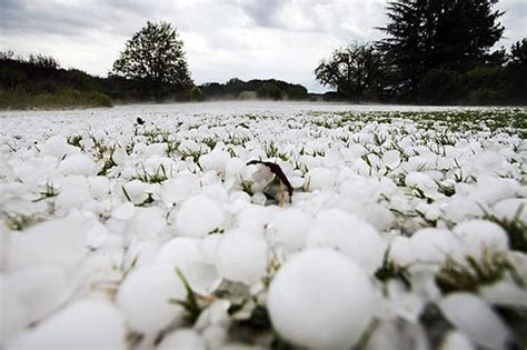 Gewitter mit hagel und starkregen zogen gestern abend über den ostaargau und. Der Hagel kommt - aber wo? | NZZ