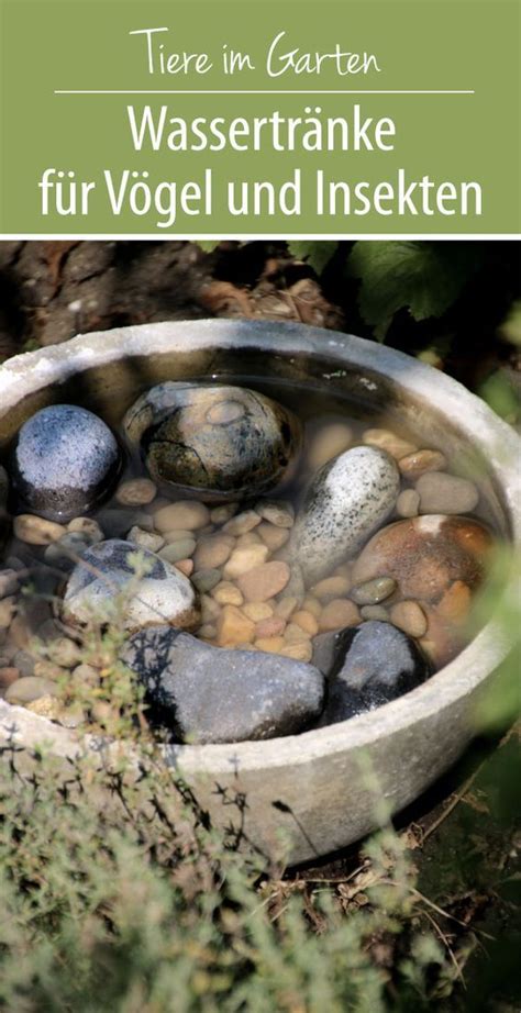 Dachverband aller „natur im garten organisationen in deutschland. Wasser für Vögel und Insekten | DIY Insektentränke ...