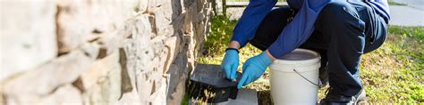 Since then we have grown rapidly with offices. Pest Control Jobs - Myrtle Beach Commercial & Residential ...