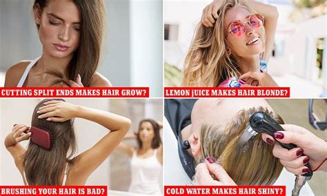 600 x 450 jpeg 28 кб. Hairdresser debunks the most common hair myths | Hair myth, Hair, Make hair grow