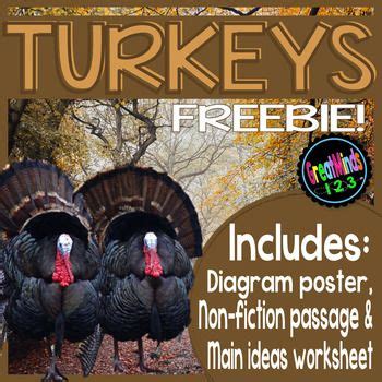 You can even celebrate thanksgiving at the site, which is modeled after a colonist's home and a wampanoag site. These are sample pages from our Turkey Common Core Non ...