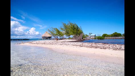 New videos added every day! Cozy Cabin on Virginia Caye, a private Island in the ...