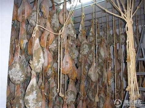 白毛豬火腿又叫山火腿，即 serrano ham，西班牙語叫 jamón serrano。. 揭秘全球最貴火腿製作過程 @ 假面のCROSS GATE :: 痞客邦