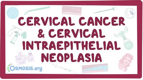 Cervical cancer prevention and screening: Singer & Monaghan's Cervical and Lower Genital Tract ...