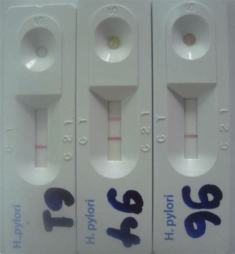 Less than an excess of sample analyte is desired, so. Photograph of SD BIOLINE H. pylori rapid antibody test ...