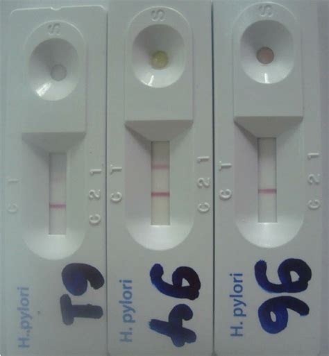 A rapid strep test is used to quickly diagnose streptococcus infections. Photograph of SD BIOLINE H. pylori rapid antibody test ...