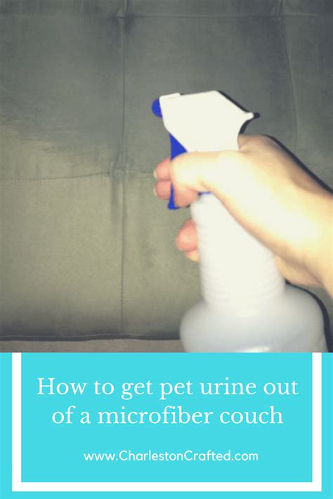 How to get stains out of couch. Getting Pet Urine Odor out of a Microfiber Couch