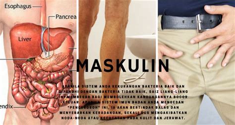 Buang air besar cair juga bisa terjadi akibat infeksi bakteri seperti salmonella, e.coli, hingga shigella. Sangat Bagus Lelaki Kerap Buang Air Besar - MASKULIN