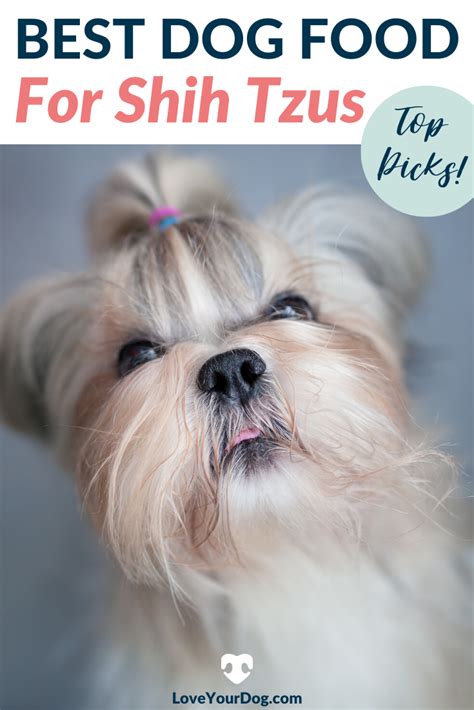 Can be a good food source but would be better if the actual source was specified, ie chicken. Best Dog Foods For Shih Tzus: Puppies, Adults & Seniors in ...