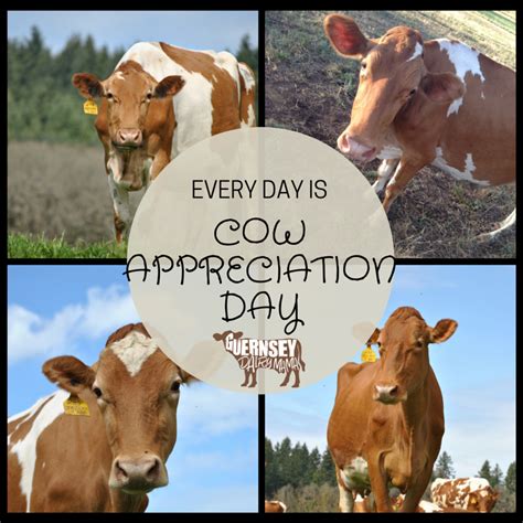 They were introduced in 1995 on a billboard, where a cow was sitting on the back of another cow and painting. Happy Cow Appreciation Day - Guernsey Dairy Mama