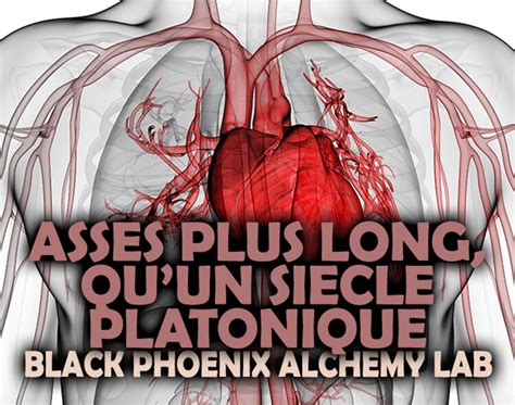 Asses Plus Long, Qu'un Siecle Platonique Perfume Oil - Black Phoenix ...