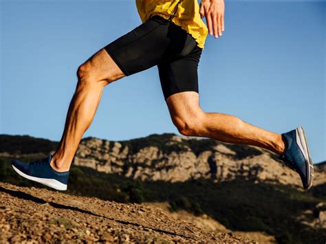 The patella tendon joins the lower bone of the leg. What are the Tendons in a Human leg? - 2 Create A Body