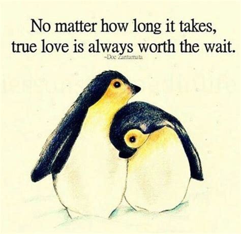 When a male penguin falls in love with a female penguin, he searches the entire beach to find the perfect pebble to present to her. True love is worth it! | Penguin love quotes, Penguin love, True love