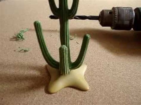 Cactus plants can easily root again as long as they have the right conditions to grow and root in. How you can fix a broken cactus! - YouTube