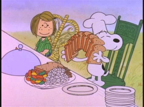 The special not only takes a look back at the in a promo for the show, bravo's andy cohen said: A Charlie Brown Thanksgiving - Peanuts Image (26554428 ...