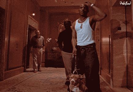 Please respect our privacy as we grieve the loss of our brother, father, uncle and the man the world knew as dmx. Ruff Ryders GIFs - Find & Share on GIPHY