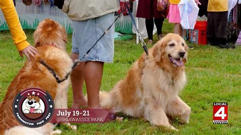 Check whether fido.ca server is down right now or having outage problems for everyone or just for you. Farmington Fido Fest - Home | Facebook