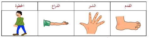 تستخدم وحدات قياس الطول في وصف أطوال الأشياء، والمسافات التي تفصل بين نقطتين. قياس الطول - عالم الهندسة في المدارس الابتدائية