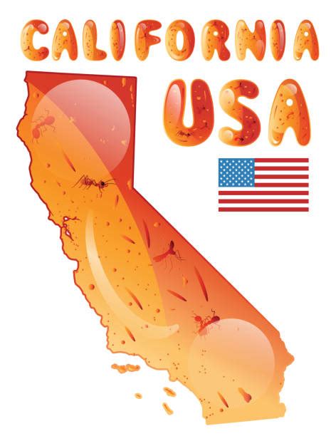 Whether you side with the sheriff or the pack of outlaws is up to you, but it's the. California Gold Rush Illustrations, Royalty-Free Vector ...