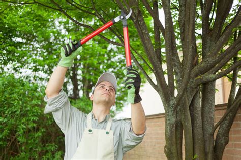 De nombreuses autres fiches métiers sont disponibles sur le site. formation adulte jardinier botaniste - Une formation ...