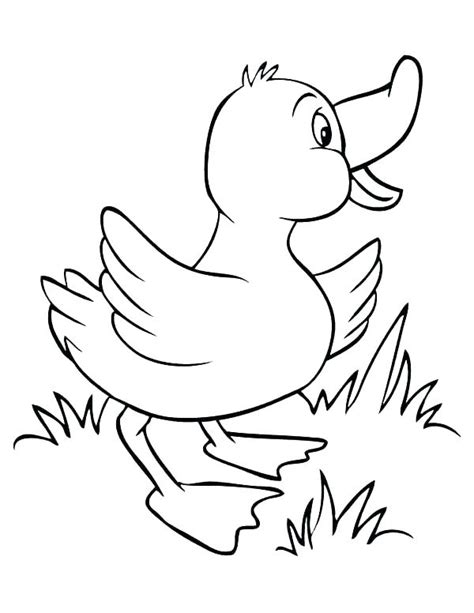 Spring daffodils, butterfly and easter eggs in the grass on a white. Green Grass Coloring Pages at GetColorings.com | Free ...