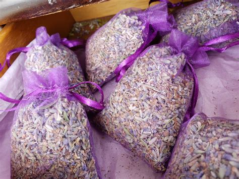 Check spelling or type a new query. Skull Valley Lavender Farm | Prescott Farmers Market