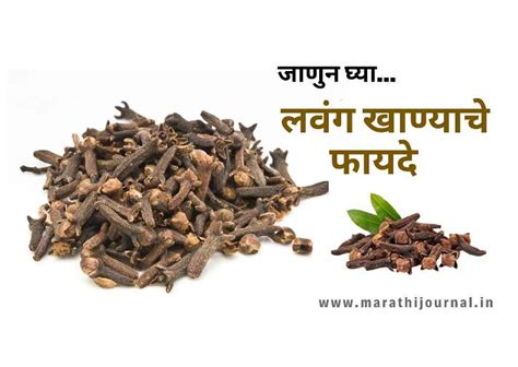 On friday, russian health minister mikhail. लवंग खाण्याचे फायदे | Benefits Of Eating Cloves In Marathi ...
