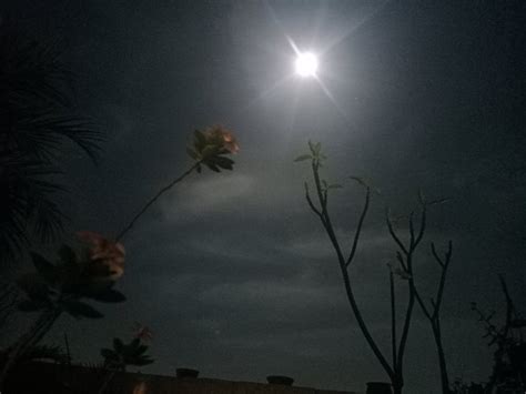 Azmi21 • 4 months ago. Moonlight Azmi 21 - Https Jateng Tribunnews Com 2021 01 27 ...