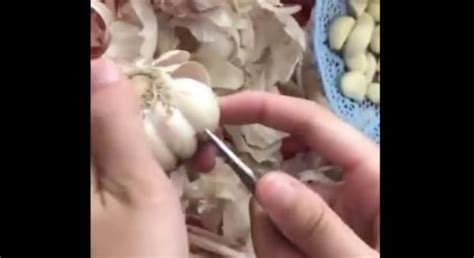 This Garlic Peeling Hack Is Life-Changing - Digg | Garlic ...