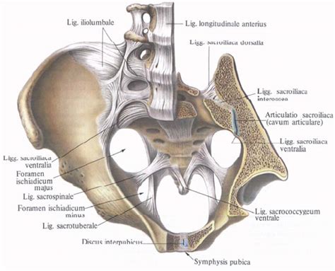 Atteinte de spondylarthrite ankylosante, laurie, 25 ans, a mis des années avant de pouvoir obtenir un diagnostic et de mettre des mots sur ses maux. La spondylarthrite ankylosante et l'exercice physique: La ...