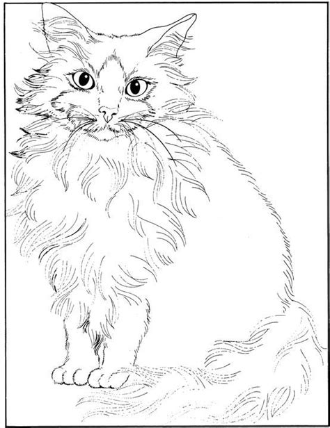 Nicht alle diese rassen sind international anerkannt. schöne-katze-mit-langen-haaren-malvorlagen.jpg (554×720 ...
