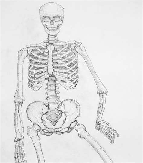 The drawing made easy series introduces budding artists to the fundamentals of pencil drawing. Life is Animated: Final Skeleton Drawing