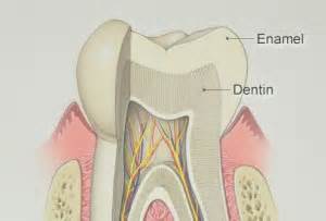 There are ways to protect and strengthen enamel one of the ways that enamel can wear away over time is due to the presence of plaque on the teeth. Top 10 foods or drinks that strengthen tooth enamel ...