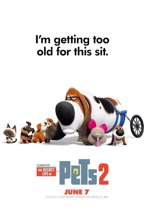 K., eric stonestreet, kevin hart and others. ^Descargar^» The Secret Life of Pets 2 2019 Pelicula ...