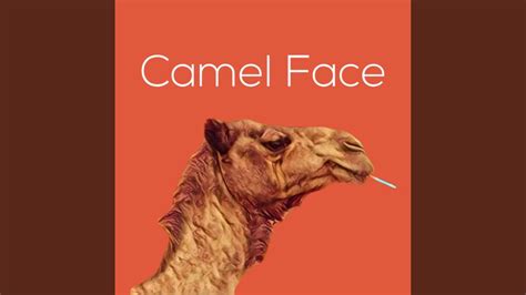 10 simple but wonderful optical illusions. Camel Face - YouTube