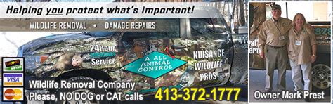 Experts advise that you must. Springfield Wildlife Control Company, MA - Wildlife ...