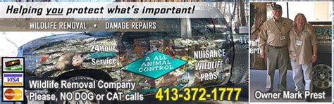 Experts advise that you must. Springfield Wildlife Control Company, MA - Wildlife ...