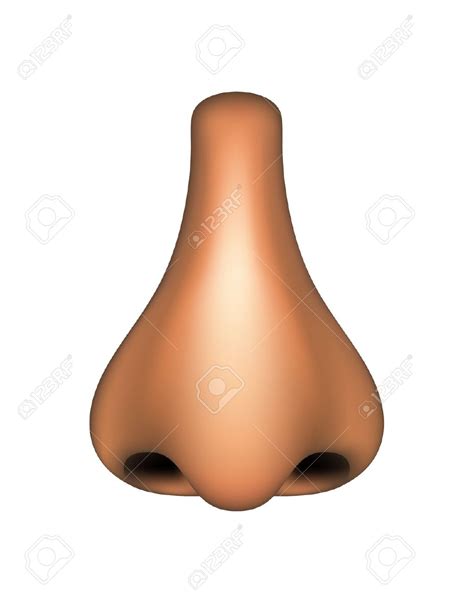 Most of clipart with transparency, scaling to any size you want. Human Nose Clipart For Kids | Free download on ClipArtMag