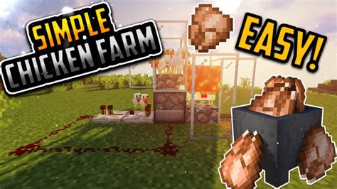He begins by placing a skinless boneless chicken breast in plastic wrap and hitting it with a tenderizer to flatten it to about a half inch. How to build chicken Farm/Machine in minecraft | Early ...