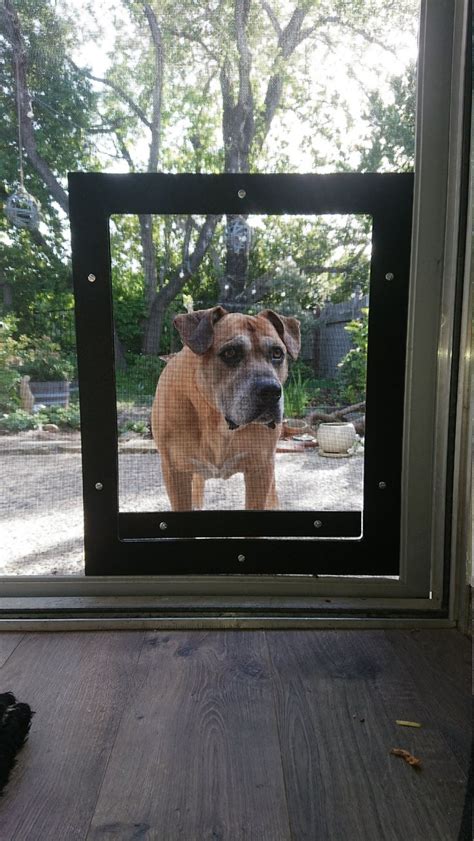 Back screen door with dog door. The BEST pet access door EVER! Using your existing ...