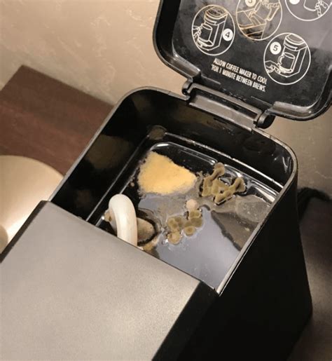 Coffee makers of all kinds are breeding grounds for mold because they're moist and dark. VIRAL: Photo of Mold Inside a Hotel Room Coffee Maker ...