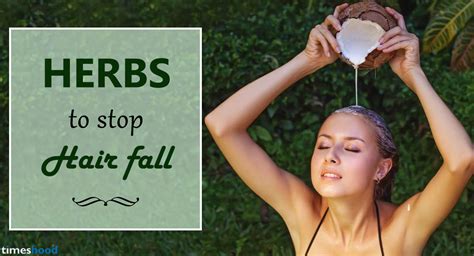 Hair grows and eventually falls out as part of its normal cycle. 5 Herbal Juice that Stop Hair Fall Naturally - TIMESHOOD