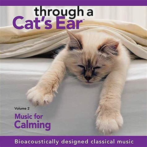 If your cat's dry heaving is more than their body expelling cat hair, it might be a cause for concern. Through a Cat's Ear: Vol. 2, Music for Calming | Cats ...