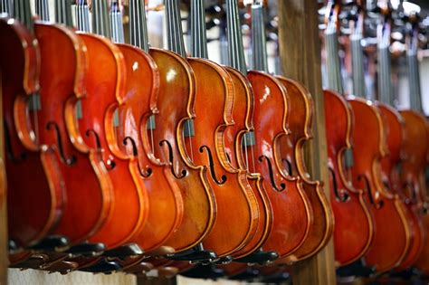 They are, however, loosened during shipment to avoid any damage, the bridge not being. Violin Prices: How Much Does a Violin Cost in 2020? | NT ...