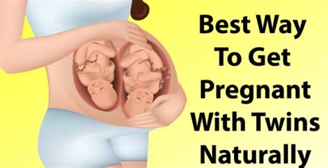 How can i get pregnant faster with twins. Pin on Get Pregnant with Twins Naturally