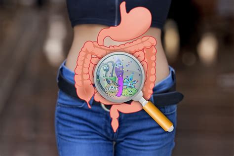 Relates to those components of health status. 8 Science-Based Tips To Improve Your Gut Health - Fitneass